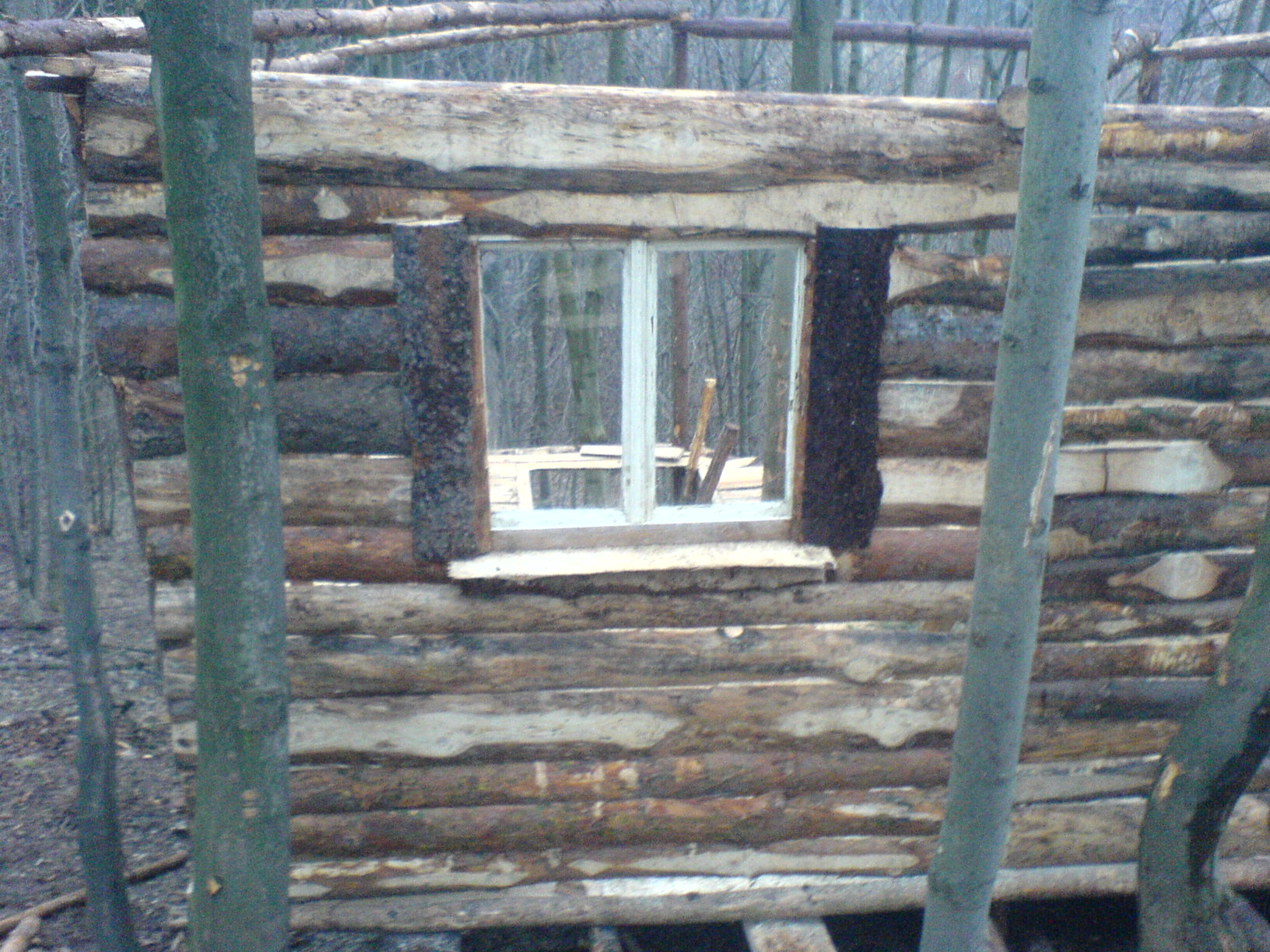 DSC01031.JPG