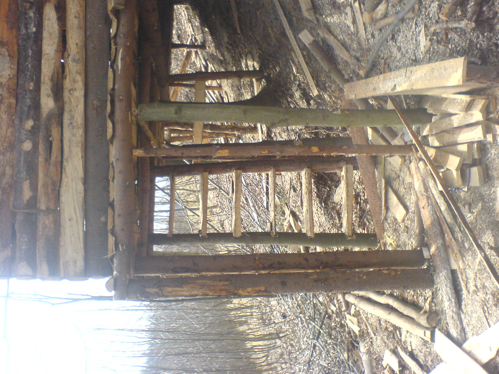 DSC01037.JPG