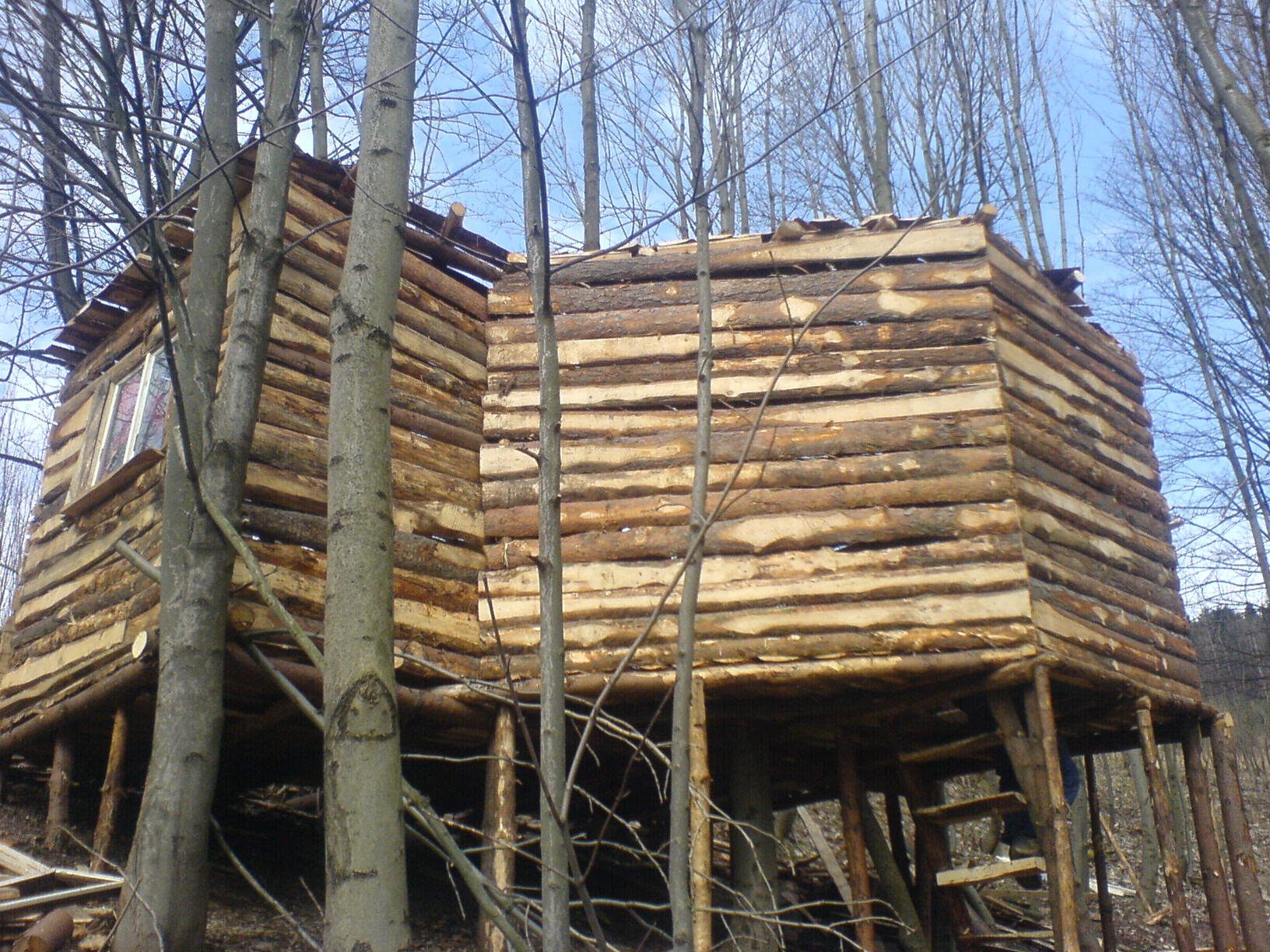 DSC01039.JPG