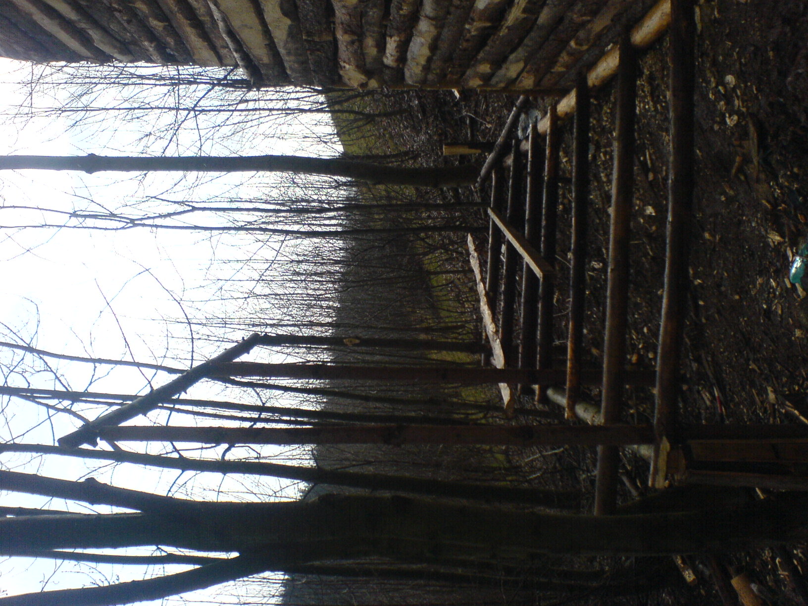 DSC01072.JPG