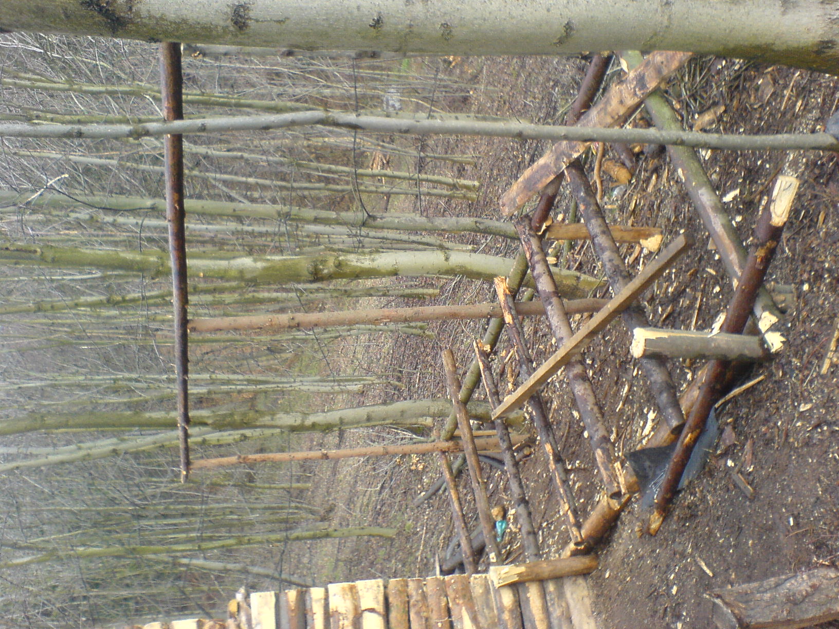 DSC01073.JPG