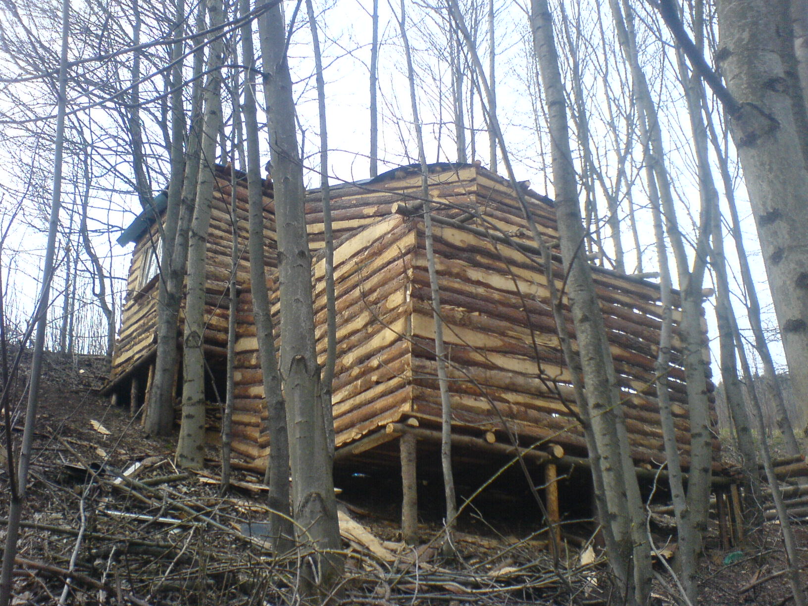 DSC01085.JPG