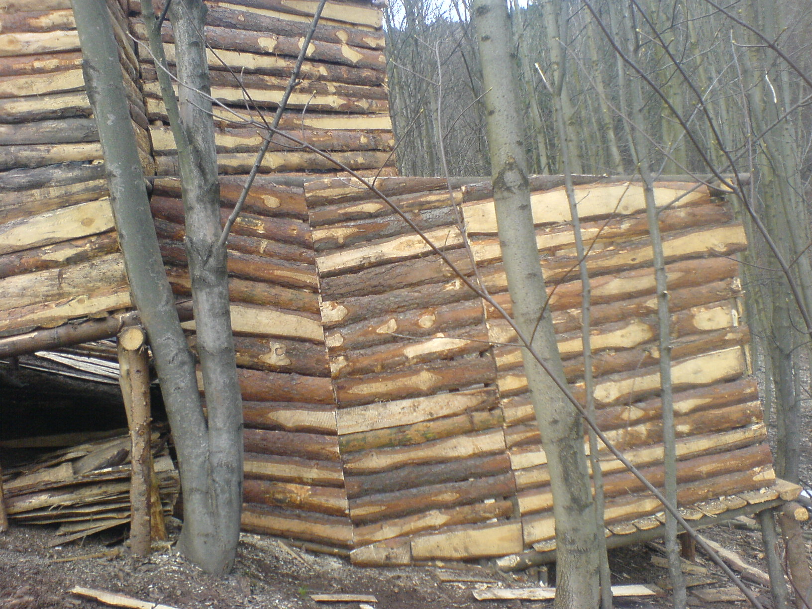 DSC01084.JPG
